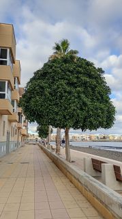 GC-Playa de Arinaga 2026-012.jpg